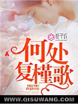 何处复槿歌小说