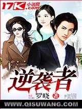 逆袭者小说