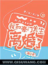 我和豪门先生离婚了小说