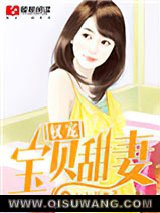 权宠宝贝甜妻小说