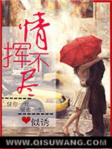 情挥不尽小说