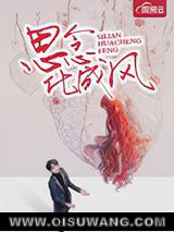 思念化成风小说