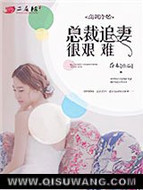 高调冷婚，总裁追妻很艰难小说