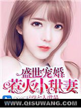 盛世宠婚:惹火小甜妻小说