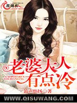 老婆大人有点冷小说