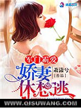 军门霸爱：娇妻休想逃小说