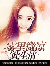 雾里微凉此生情小说