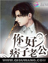 你好，痞子老公小说