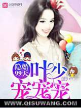 隐婚99天：叶少，宠宠宠！小说