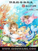 修真奶爸海岛主小说
