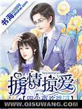 掳情掠爱：四少夜欢难消小说