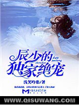 辰少的独家绝宠小说