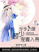 步步为营，顾少宠妻入骨小说