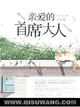 亲爱的首席大人小说