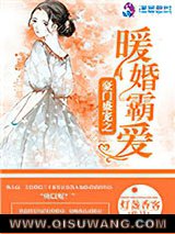 豪门盛宠之暖婚霸爱小说