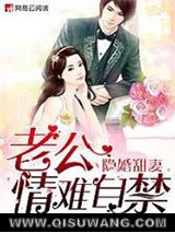 隐婚甜妻，老公情难自禁小说