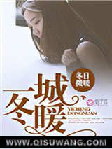 一城冬暖小说