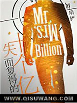 失而复得的十个亿小说