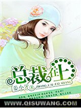总裁在上小说
