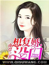想复婚，没门小说