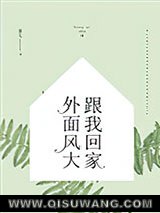 外面风大，跟我回家小说