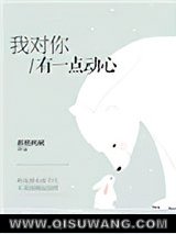 我对你有一点动心小说