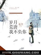 岁月荒唐我不负你小说