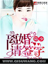 陆少，离婚请签字小说