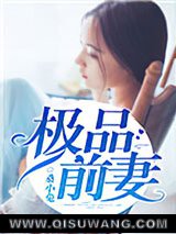 极品前妻小说