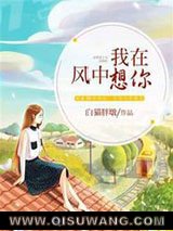我在风中想你小说