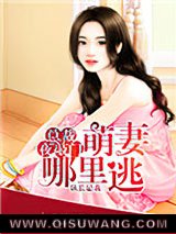 总裁夜敲门：萌妻哪里逃小说