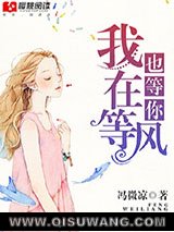 我在等风也等你小说