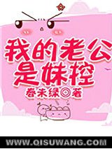 我的老公是妹控小说