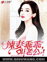 辣妻乖乖，叫老公！小说