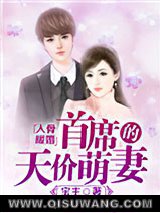 入骨暖婚：首席的天价萌妻小说