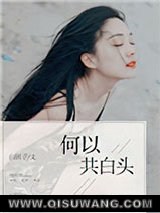 何以共白头小说