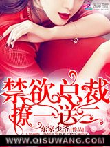 禁欲总裁，撩一送二！小说