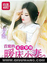 名门孽婚：首席的暖床小妻小说