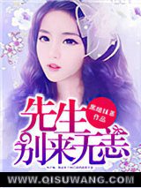 先生，别来无恙小说