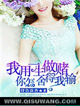 我用一生做赌，你怎舍得我输小说