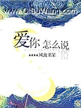 爱你怎么说小说