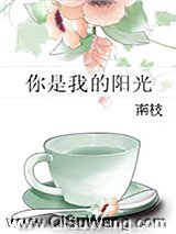 你是我的阳光小说