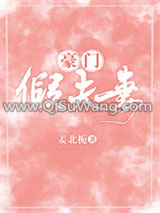 豪门假夫妻小说