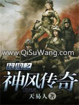 抗战之神风传奇小说