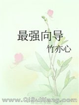 最强向导小说