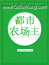 都市农场主小说