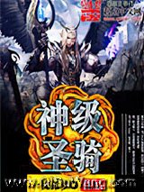 神级圣骑小说