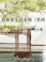 贤妻重生还未嫁(系统)小说