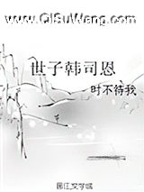 世子韩司恩小说