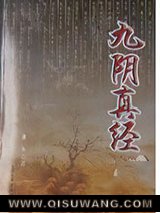 九阴真经小说